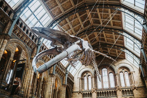 Which UK museums offer hands-on experiences with ancient artifacts?