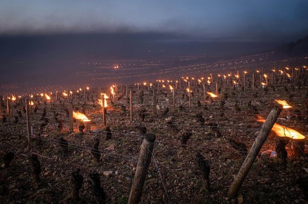 Which UK vineyards offer wine-tasting tours that include historical insights about the region?